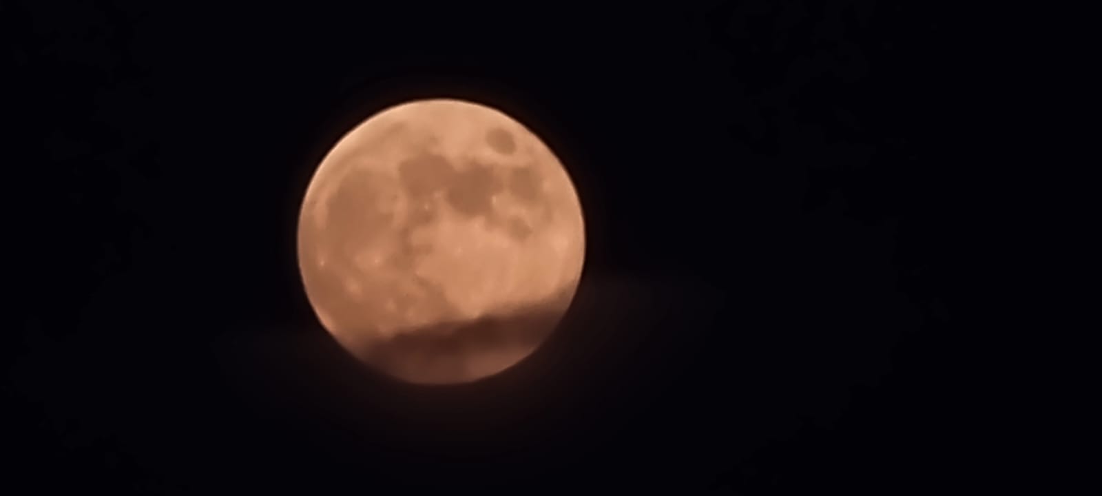 WhatsApp Image 2023-10-28 at 18.18.57.jpeg